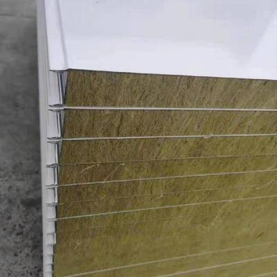 6米×3米集裝箱房 靈活租賃與銷售，聚氨酯夾芯板保障舒適與耐用